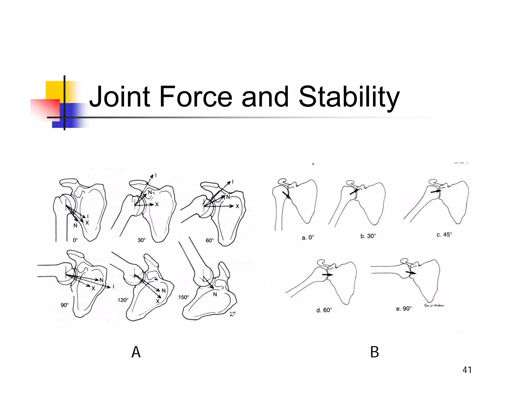 41
Joint Force and Stability
A B
 