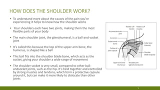 HOW DOES THE SHOULDER WORK?
▪ To understand more about the causes of the pain you’re
experiencing it helps to know how the shoulder works
▪ Your shoulders each have two joints, making them the most
flexible parts of your body
▪ The main shoulder joint, the glenohumeral, is a ball-and-socket
joint
▪ It’s called this because the top of the upper arm bone, the
humerus, is shaped like a ball
▪ This ball fits into the shoulder blade bone, which acts as the
socket, giving your shoulder a wide range of movement
▪ The shoulder socket is very small, compared to other ball-
andsocket joints, such as the hip. It’s held together and controlled
by strong muscles and tendons, which form a protective capsule
around it, but can make it more likely to dislocate than other
joints
5
 