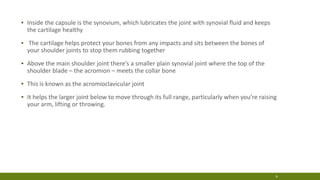 ▪ Inside the capsule is the synovium, which lubricates the joint with synovial fluid and keeps
the cartilage healthy
▪ The cartilage helps protect your bones from any impacts and sits between the bones of
your shoulder joints to stop them rubbing together
▪ Above the main shoulder joint there’s a smaller plain synovial joint where the top of the
shoulder blade – the acromion – meets the collar bone
▪ This is known as the acromioclavicular joint
▪ It helps the larger joint below to move through its full range, particularly when you’re raising
your arm, lifting or throwing.
6
 