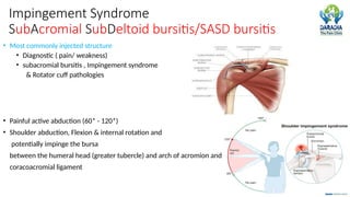 Sasd Injection Shoulder Joint Common Pathologies & Interventions | Dr Shirish Amatya ...