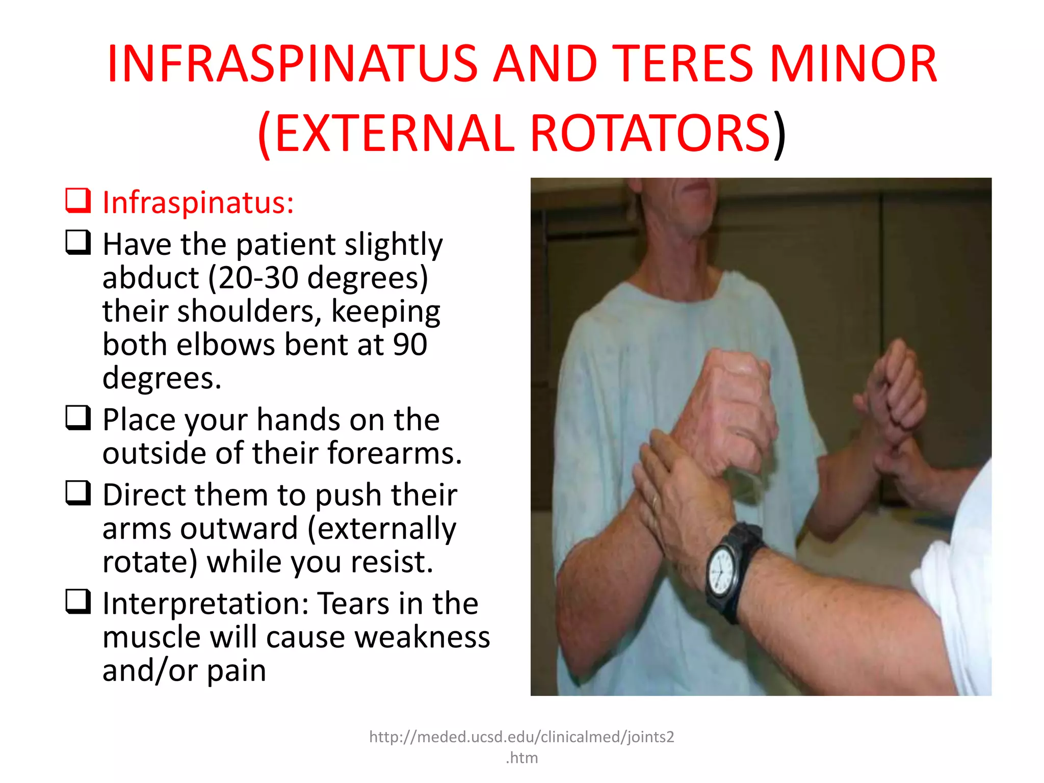 Shoulder pathomechanics | PPTX