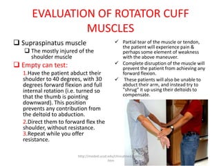 Shoulder pathomechanics | PPTX