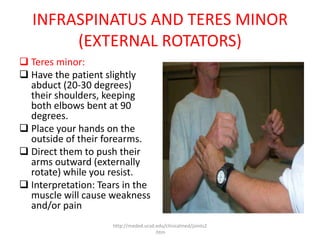 Shoulder pathomechanics | PPTX