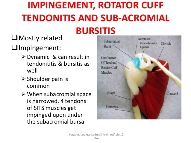 Shoulder pathomechanics