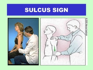 Shoulder ppt | PPT