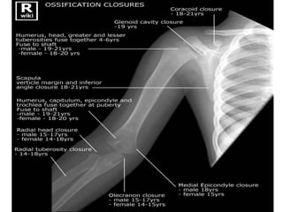 Shoulder radiologic anatomy | PPTX