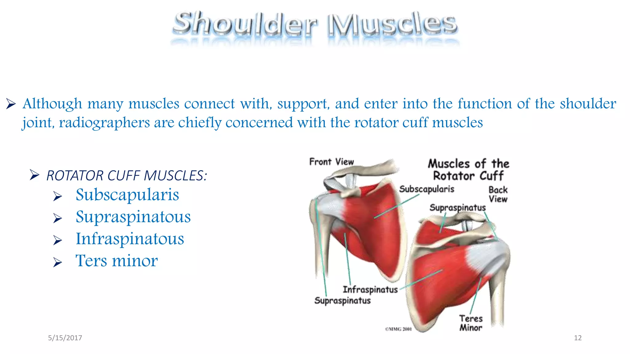 Shoulder radiography avinesh shrestha | PPTX