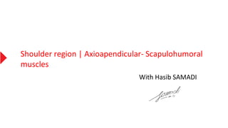 Shoulder region | Axioapendicular- Scapulohumoral
muscles
With Hasib SAMADI
 