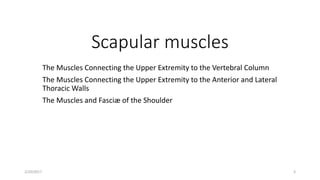 Scapular muscles
The Muscles Connecting the Upper Extremity to the Vertebral Column
The Muscles Connecting the Upper Extremity to the Anterior and Lateral
Thoracic Walls
The Muscles and Fasciæ of the Shoulder
2/20/2017 3
 