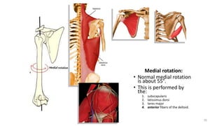 35
Medial rotation:
• Normal medial rotation
is about 55°.
• This is performed by
the:
1. subscapularis
2. latissimus dorsi
3. teres major
4. anterior fibers of the deltoid.
 