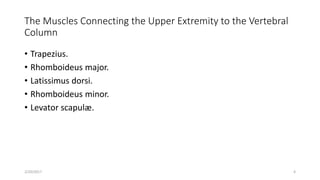 The Muscles Connecting the Upper Extremity to the Vertebral
Column
• Trapezius.
• Rhomboideus major.
• Latissimus dorsi.
• Rhomboideus minor.
• Levator scapulæ.
2/20/2017 4
 