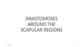 ANASTOMOSES
AROUND THE
SCAPULAR REGIONS
2/20/2017 42
 