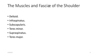 The Muscles and Fasciæ of the Shoulder
• Deltoid.
• Infraspinatus.
• Subscapularis.
• Teres minor.
• Supraspinatus.
• Teres major.
2/20/2017 6
 
