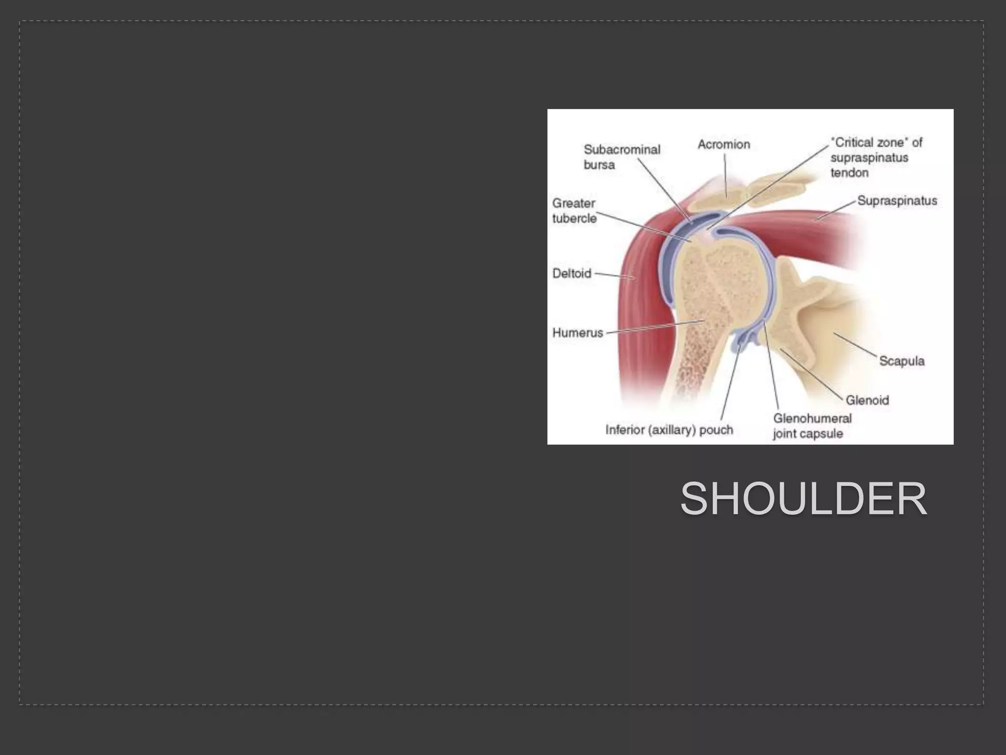 proximal humerus fracture fixation teaching | PPTX