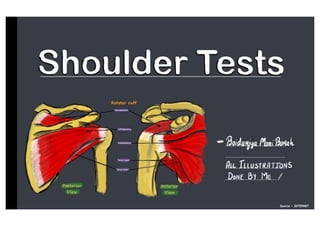 Shoulder Special Tests Guide + Diagnosis