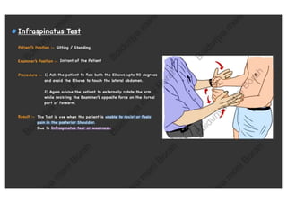 Shoulder Special Tests Guide + Diagnosis