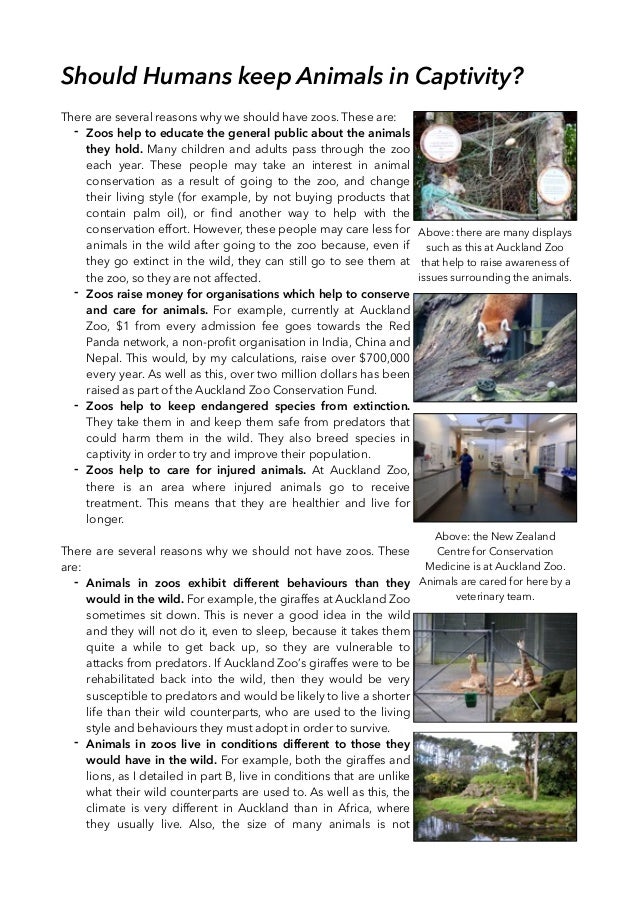 Should Humans Keep Animals In Captivity?