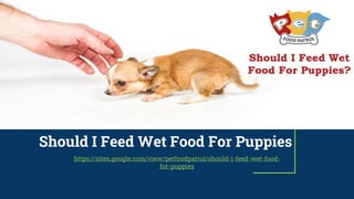 Should I Feed Wet Food For Puppies
https://sites.google.com/view/petfoodpatrol/should-i-feed-wet-food-
for-puppies
 