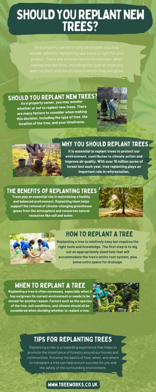 SHOULDYOUREPLANTNEW
TREES?
TIPS FOR REPLANTING TREES
THE BENEFITS OF REPLANTING TREES
SHOULD YOU REPLANT NEW TREES?
WHY YOU SHOULD REPLANT TREES
As a property owner or land developer, you may
wonder whether replanting new trees is right for your
project. There are several factors to consider when
making this decision, including the type of trees you
want to plant and the climate in which they will grow.
As a property owner, you may wonder
whether or not to replant new trees. There
are many factors to consider when making
this decision, including the type of tree, the
location of the tree, and your timeframe.
It is essential to replant trees to protect our
environment, contributes to climate action and
improve air quality. With over 18 million acres of
forest lost each year, tree replanting plays an
important role in reforestation.
Trees play an essential role in maintaining a healthy
and balanced environment. Replanting them helps
support the removal of climate-changing greenhouse
gases from the atmosphere and conserves natural
resources like soil and water.
HOW TO REPLANT A TREE
Replanting a tree is relatively easy but requires the
right tools and knowledge. The first step is to dig
out an appropriately sized hole that will
accommodate the tree's entire root system, plus
some extra space for drainage.
WHEN TO REPLANT A TREE
Replanting a tree is often necessary, especially when it
has outgrown its current environment or needs to be
moved for another reason. Factors such as the species
of the tree, soil conditions, and climate should all be
considered when deciding whether to replant a tree.
Replanting a tree is a rewarding experience that helps to
promote the importance of forestry around our homes and
communities. Knowing the basics of how, when, and where
to transplant a tree can help ensure success for you and
the safety of the surrounding environment.
www.treeworks.co.uk
 