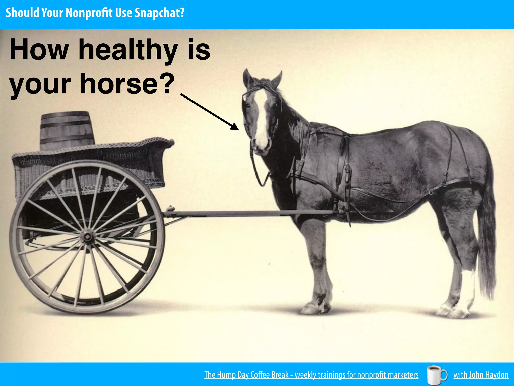 The Hump Day Coﬀee Break - weekly trainings for nonprofit marketers with John Haydon
ShouldYour Nonprofit Use Snapchat?
How healthy is
your horse?
 