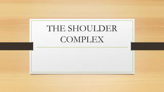 THE SHOULDER
COMPLEX
 