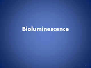 Bioluminescence
1
 