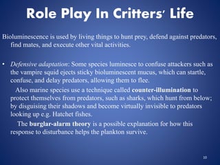 Role Play In Critters' Life
Bioluminescence is used by living things to hunt prey, defend against predators,
find mates, and execute other vital activities.
• Defensive adaptation: Some species luminesce to confuse attackers such as
the vampire squid ejects sticky bioluminescent mucus, which can startle,
confuse, and delay predators, allowing them to flee.
Also marine species use a technique called counter-illumination to
protect themselves from predators, such as sharks, which hunt from below;
by disguising their shadows and become virtually invisible to predators
looking up e.g. Hatchet fishes.
The burglar-alarm theory is a possible explanation for how this
response to disturbance helps the plankton survive.
10
 