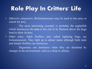 Role Play In Critters' Life
• Offensive adaptation: Bioluminescence may be used to lure prey or
search for prey.
The most interesting example is probably the anglerfish
which luminesces the esca at the end of its filament above the huge
head to draw its prey.
• Other roles: Adult fireflies, also called lightning bugs, are
bioluminescent. They light up to attract mates although both male
and female fireflies can luminesce.
Organisms can luminesce when they are disturbed by
changes in the environment, such as a drop in salinity.
11
 