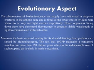 Evolutionary Aspect
The phenomenon of bioluminescence has largely been witnessed in deep-sea
creatures in the aphotic zone and at times at the lower end of twilight zone
where no or very sun light reaches respectively. Hence organisms living
down there have developed fluorescence to generate visible wavelength of
light to communicate with each other.
Moreover the basic needs of hunting for food and defending from predators are
served by bioluminescence. The fact that avGFP maintains a conserved
structure for more than 160 million years refers to the indispensible role of
such property particularly in marine organisms.
12
 