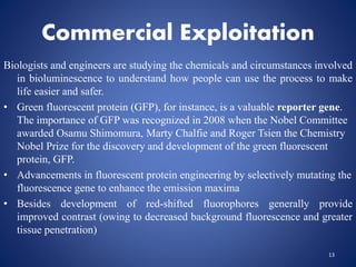 Commercial Exploitation
Biologists and engineers are studying the chemicals and circumstances involved
in bioluminescence to understand how people can use the process to make
life easier and safer.
• Green fluorescent protein (GFP), for instance, is a valuable reporter gene.
The importance of GFP was recognized in 2008 when the Nobel Committee
awarded Osamu Shimomura, Marty Chalfie and Roger Tsien the Chemistry
Nobel Prize for the discovery and development of the green fluorescent
protein, GFP.
• Advancements in fluorescent protein engineering by selectively mutating the
fluorescence gene to enhance the emission maxima
• Besides development of red-shifted fluorophores generally provide
improved contrast (owing to decreased background fluorescence and greater
tissue penetration)
13
 