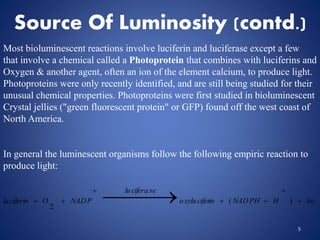 Source Of Luminosity (contd.)
Most bioluminescent reactions involve luciferin and luciferase except a few
that involve a chemical called a Photoprotein that combines with luciferins and
Oxygen & another agent, often an ion of the element calcium, to produce light.
Photoproteins were only recently identified, and are still being studied for their
unusual chemical properties. Photoproteins were first studied in bioluminescent
Crystal jellies ("green fluorescent protein" or GFP) found off the west coast of
North America.
In general the luminescent organisms follow the following empiric reaction to
produce light:
5
hHNADPHinoxylucifer
luciferase
NADPOluciferin 



   )(
2
 