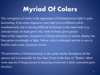 Myriad Of Colors
The variegation of colors in the appearance of bioluminescent light is quite
fascinating. Even some organisms emit light of two different colors
simultaneously due to having different luciferases in the same body (e.g.
railroad worm; its head glows red, while its body glows green)
Most of the organisms, irrespective of being terrestrial or marine, display the
blue-green wavelength of light. Yellow color is although rare but is seen in
fireflies and a snail, Quantula striata.
The persistence of bioluminescing is also quite similar throughout all the
species and it is normally for less than 10 sec in the form of ‘flashes’ albeit
some species of fungi present in decaying wood emit a fairly consistent glow
(foxfire).
6
 