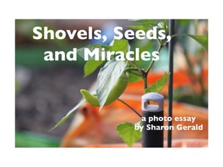 Shovels, Seeds,
 and Miracles


             a photo essay
           by Sharon Gerald
 