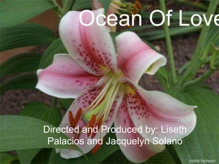 Ocean Of Love Directed and Produced by: Liseth Palacios and Jacquelyn Solano 
