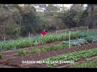 GARDEN AREA AT CASA BERNABE