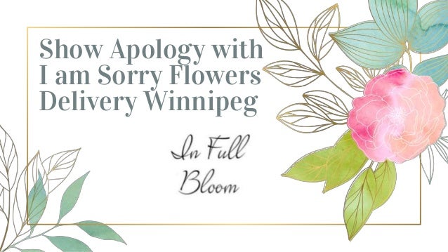 Show Apology with
I am Sorry Flowers
Delivery Winnipeg
 