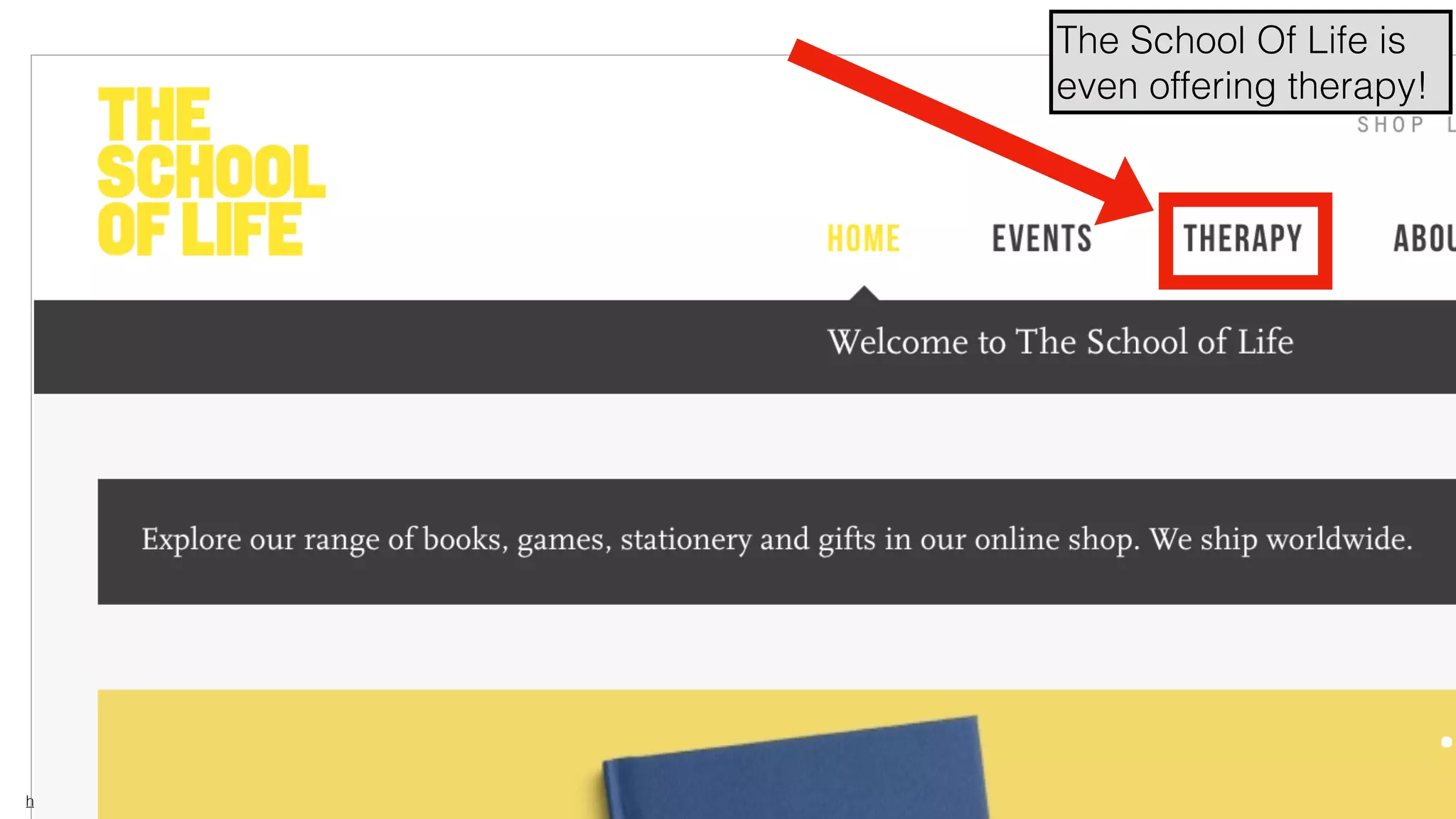 hello@laurenthaug.com © 2017
The School Of Life is
even offering therapy!
 