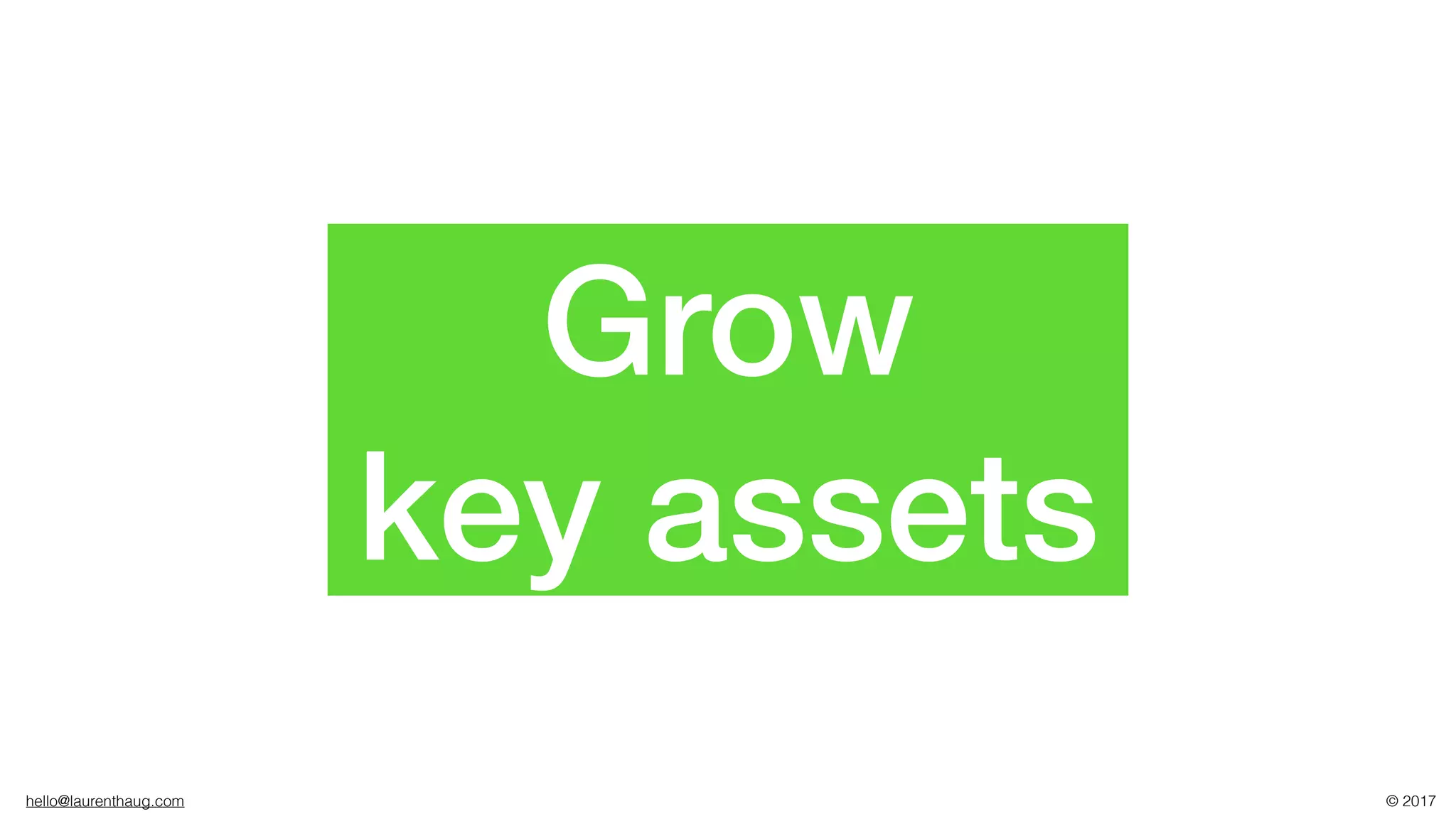 hello@laurenthaug.com © 2017
Grow
key assets
 