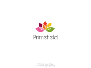 Primefield Group Pte Ltd
www.primefieldgroup.com.sg

 