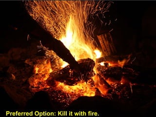 Preferred Option: Kill it with fire.
 