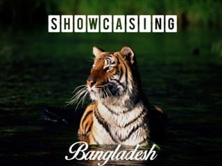 Showcasing Bangladesh