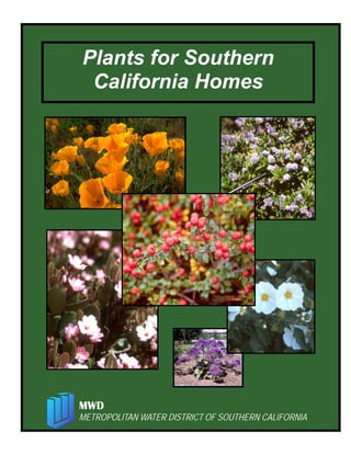 Plants for Southern
 California Homes




MWD
METROPOLITAN WATER DISTRICT OF SOUTHERN CALIFORNIA

                    1
 