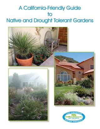 A California-Friendly Guide
                  to
Native and Drought Tolerant Gardens




                                      1
 