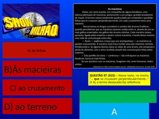 A) às linhas.
B)Às macieiras
C) ao cruzamento
D) ao terreno
As macieiras
Visitei, em certa ocasião, em companhia de alguns familiares, uma
extensa plantação de macieiras, pertencente a uns amigos, grandes produtores
de maçãs. O terreno estava totalmente quadriculado por compridas e paralelas
linhas que se cruzavam perpendicularmente. Em cada cruzamento havia uma
macieira.
Percorríamos os longos corredores à sombra das árvores frutíferas,
quando percebemos que as macieiras estavam unidas entre si, através de um ou
mais galhos enxertados nos galhos das árvores vizinhas. Cada macieira estava,
portanto, ligada pelos enxertos a quatro outras macieiras, criando dessa maneira
uma rede de comunicação entre elas.
— Assim — explicava a moça que nos acompanhava — as macieiras se
ajudam mutuamente. A macieira mais fraca recebe seiva das macieiras vizinhas,
fortalecendo-a. Se alguma doença ataca as raízes de uma árvore, ela compensa a
perda de alimento, com a seiva recebida através das comunicações feitas pelos
enxertos.
— Esta partilha da seiva — continuou— não enfraquece as macieiras
doadoras: torna-as mais fortes.
Se isso acontece com as macieiras, imaginem nós, seres humanos, todos
unidos.
Disponível em: http://www.muraljoia.com.br/. ((Adaptado) Acesso em: 12 maio 2018.
QUESTÃO 07 (D25) – Nesse texto, no trecho
“... que se cruzavam perpendicularmente...”
(ℓ 4), o termo destacado faz referência
TEMPO
A
 