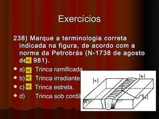 Exercícios
238) Marque a terminologia correta
  indicada na figura, de acordo com a
  norma da Petrobrás (N-1738 de agosto
  de 1981).
 a)   Trinca ramificada.
 b)   Trinca irradiante.
 c)   Trinca estrela.
 d)   Trinca sob cordão.
 