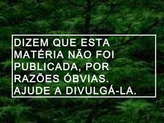 DIZEM QUE ESTA
MATÉRIA NÃO FOI
PUBLICADA, POR
RAZÕES ÓBVIAS.
AJUDE A DIVULGÁ-LA.

 