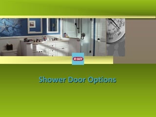 Shower Door Options

 