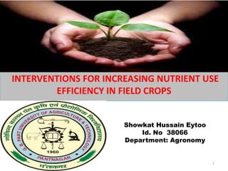 Showkat Hussain Eytoo
Id. No 38066
Department: Agronomy
INTERVENTIONS FOR INCREASING NUTRIENT USE
EFFICIENCY IN FIELD CROPS
1
 