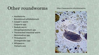 Other roundworms
• Hookworms
Bunostonum phlebotomum
• Cooper’s worm
Cooperia spp.
• Nodule worm
Oesophagostumum spp.
• Thicknecked intestinal worm
Nematodirus spp.
• Threadworm
Strongyloides spp.
• Whipworm
Trichuris ovis
https://www.wormx.info/otherworms
 