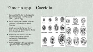 Eimeria spp. Coccidia
• Can use McMaster technique to
determine fecal oocyte count
(FOC). [small egg]
• Small ruminants can be infected
by many different species of
Eimeria.
• Small ruminants harbor their
own species of Eimeria and there
is no cross-infection.
• Not all strains of coccidia are
disease causing or equally
pathogenic (speciation
warranted).
• A FOC of 5000 with appropriate
signs may be noteworthy, if
 